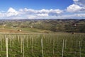 Italy: Piemontese landscape