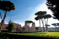 View of Caracalla springs with grassland and trees at Rome