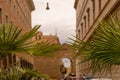 Italy, Rome, Castel Sant Angelo, Mausoleum of Hadrian, a palm tree Royalty Free Stock Photo