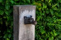 Italy, Rome, Roman Forum, a wolf face sculpture on a stone slab Royalty Free Stock Photo