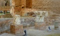 Italy, Rome, Viale delle Terme di Caracalla, Baths of Caracalla, remains of columns in antique baths