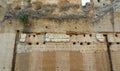 Italy, Rome, Viale delle Terme di Caracalla, Baths of Caracalla (Terme di Caracalla), remains of relief in ancient baths