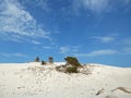 Italy, Sardinia, Carbonia Iglesias, Porto Pino, the dunes beach Royalty Free Stock Photo