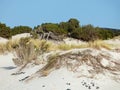 Italy, Sardinia, Carbonia Iglesias, Porto Pino, the dunes beach Royalty Free Stock Photo