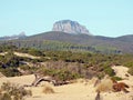 Italy, Sardinia, Piscinas view of sandy dunes and vegetation, in the background rocky mountains