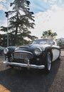 Sixties vintage car for sale in outdoors market Austin Healey 3000 mkII front view