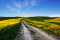 Italy spring countryside landscape Royalty Free Stock Photo