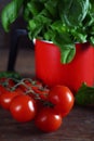 italy still life tomatoes basil Royalty Free Stock Photo