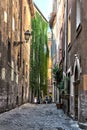 Italy. Streets of Trastevere in Rome. Italy