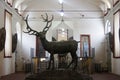 Italy, Turin royal palace Stupinigi famous deer statue