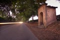 Italy, Tuscany, Castagneto Carducci, Bolgheri, Road and cypresses