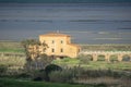 Italy, Tuscany, Castiglione della Pescaia, view of the Diaccia Botrona nature reserve from above Royalty Free Stock Photo