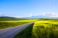 Italy tuscany countryside; farm land and country road; rolling Royalty Free Stock Photo