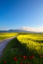 Italy tuscany countryside; farm land and country road; rolling Royalty Free Stock Photo