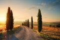 Art italy tuscany countryside rolling hills; summer farmland and country road Royalty Free Stock Photo