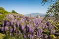 Italy, Tuscany, Florence, the Bardini garden.