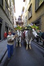 Italy,Tuscany, Florence