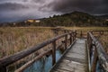 Italy, Tuscany, Lucca, Massaciuccoli Lake