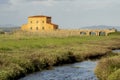 Italy Tuscany Maremma Castiglione della Pescaia Grosseto, natural reserve of Diaccia Botrona Royalty Free Stock Photo