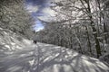 Italy, Tuscany, National Park of the Casentino Forests, Mount Fa