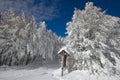 Italy, Tuscany, National Park of the Casentino Forests, Mount Fa