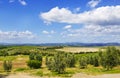 Italy. Tuscany. Olive plantations Royalty Free Stock Photo