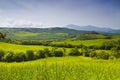 Italy. Tuscany. Rural landscape Royalty Free Stock Photo