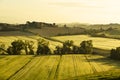 Italy. Tuscany. Rural landscape at dawn Royalty Free Stock Photo