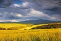 Italy. Tuscany. Rural landscape Royalty Free Stock Photo