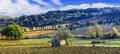 Italy. Tuscany scenic nature landscape. panoramic view of countryside with hills of vineyards