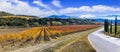 Italy. Tuscany scenic nature landscape. panoramic view of countryside with hills of vineyards Royalty Free Stock Photo