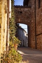 Italy, Tuscany, Siena, the Murlo village.