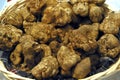 Italy, Tuscany, White truffle.