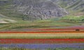 Italy - Umbria - Castelluccio colors