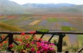 Italy - Umbria - Castelluccio