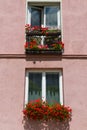 Italy, Venice, Burano island. Traditional colorful walls and windows with bright pink shutters and flowers in the pot Royalty Free Stock Photo