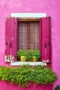 Italy, Venice, Burano island. Traditional colorful walls and windows with bright pink shutters and flowers in the pot. Royalty Free Stock Photo