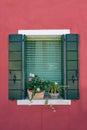 Italy, Venice, Burano island. Traditional colorful walls and windows with opened shutters and flowers in the pot. Royalty Free Stock Photo