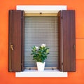 Italy, Venice, Burano island. Traditional colorful walls and windows with opened shutters and flowers in the pot Royalty Free Stock Photo