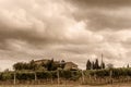 Tuscany - Vineyards Near Montalcino Royalty Free Stock Photo