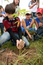 Child planting tree