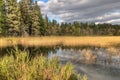 Itasca State Park contains the Headwaters of the Mississippi Riv Royalty Free Stock Photo