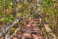 Itasca State Park contains the Headwaters of the Mississippi Riv Royalty Free Stock Photo