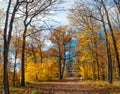 Itasca State Park in fall