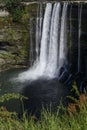 Itata waterfall, Ãâuble region. Chile. Royalty Free Stock Photo