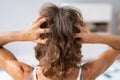 Itching Dry Head Scalp And Long Hair Royalty Free Stock Photo