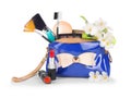 Items contained in the women's handbag Royalty Free Stock Photo