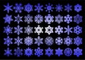 Collection of snowflakes in vector