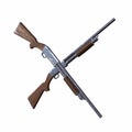 Ithaca old shotguns 3d illustration Royalty Free Stock Photo