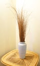 Still Life - Vase and Grass on Wicker Table